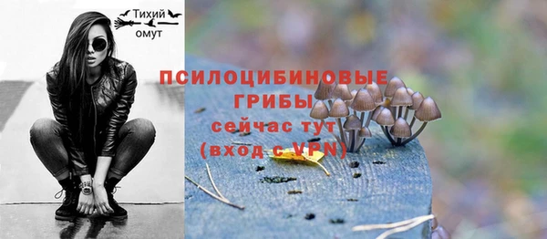 a pvp Арсеньев