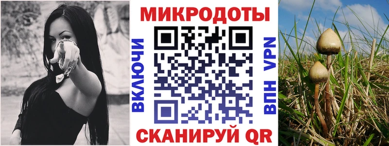 закладки  mega зеркало  Псилоцибиновые грибы мицелий  Артёмовский 